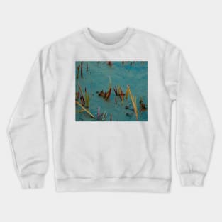 Rainbow cane 2 Crewneck Sweatshirt